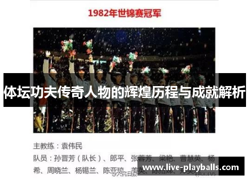 体坛功夫传奇人物的辉煌历程与成就解析