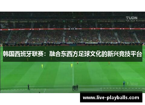 韩国西班牙联赛：融合东西方足球文化的新兴竞技平台